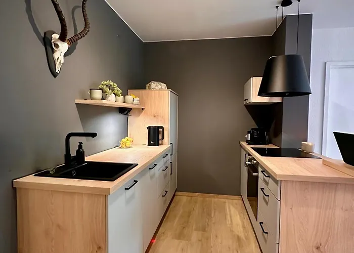 Апартаменты Spatzennest 1 Люббекке