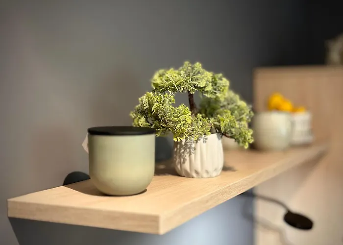 Spatzennest 1 Апартаменты